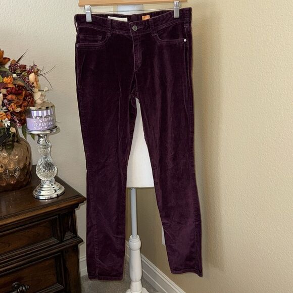 (BOGO FREE) Anthropologie Pilcro and the Letterpress Serif Cord Leggings Sz 27 - Picture 3 of 5